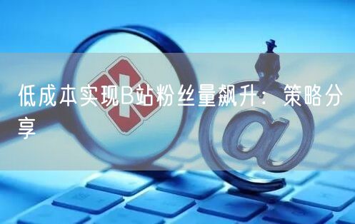 低成本实现B站粉丝量飙升：策略分享
