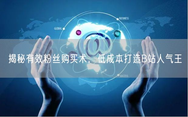 揭秘有效粉丝购买术，低成本打造B站人气王