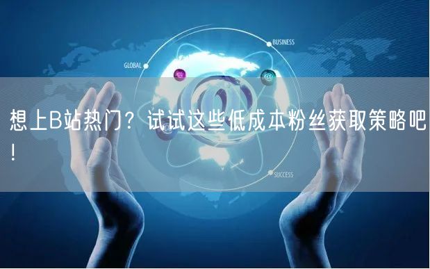 想上B站热门？试试这些低成本粉丝获取策略吧！