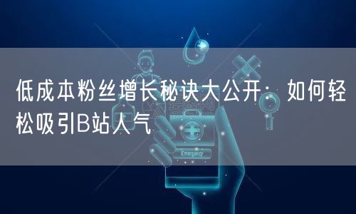 低成本粉丝增长秘诀大公开：如何轻松吸引B站人气