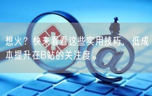 想火？快来看看这些实用技巧，低成本提升在B站的关注度。