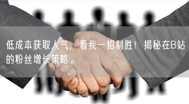 低成本获取人气，看我一招制胜！揭秘在B站的粉丝增长策略。