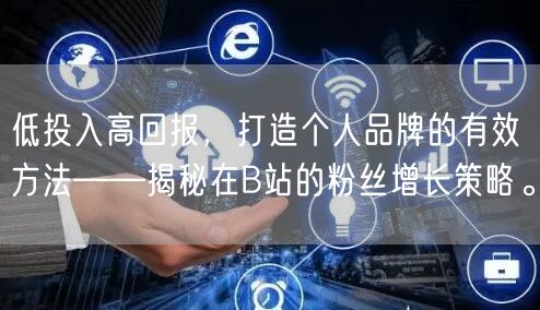 低投入高回报，打造个人品牌的有效方法——揭秘在B站的粉丝增长策略。