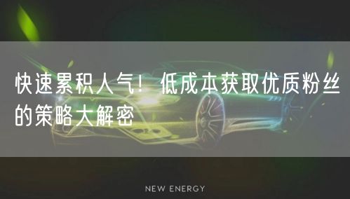 快速累积人气！低成本获取优质粉丝的策略大解密