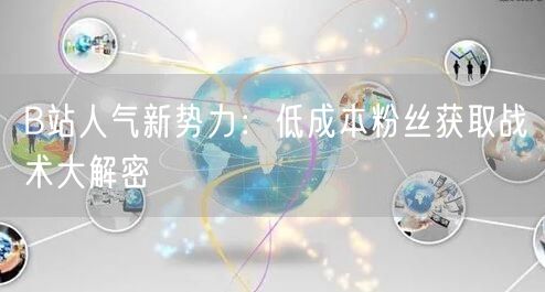 B站人气新势力：低成本粉丝获取战术大解密