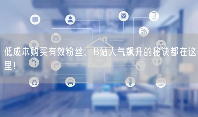 低成本购买有效粉丝，B站人气飙升的秘诀都在这里！