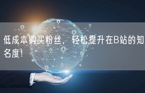 低成本购买粉丝，轻松提升在B站的知名度！