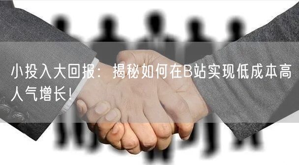 小投入大回报：揭秘如何在B站实现低成本高人气增长！
