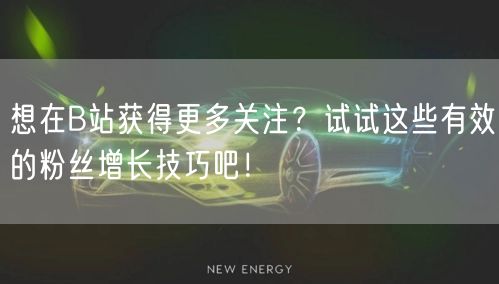想在B站获得更多关注？试试这些有效的粉丝增长技巧吧！