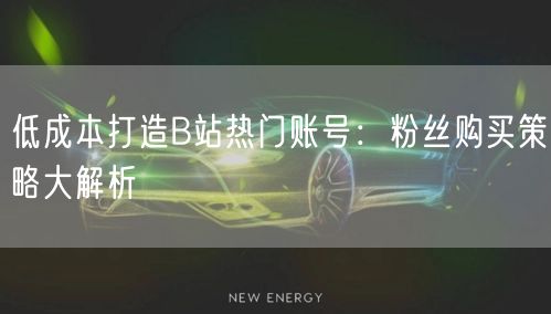 低成本打造B站热门账号：粉丝购买策略大解析