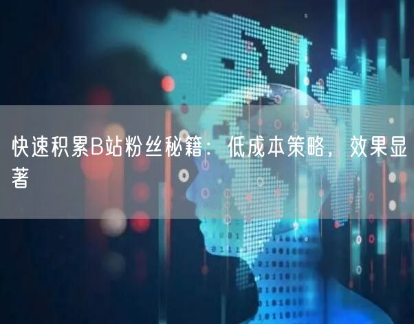 快速积累B站粉丝秘籍：低成本策略，效果显著