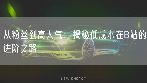 从粉丝到高人气：揭秘低成本在B站的进阶之路