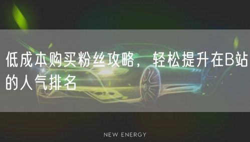低成本购买粉丝攻略，轻松提升在B站的人气排名