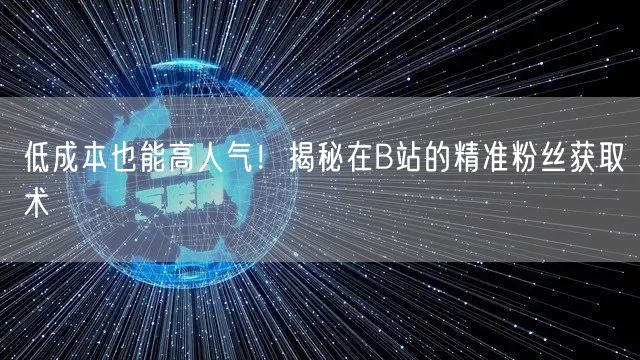 低成本也能高人气！揭秘在B站的精准粉丝获取术