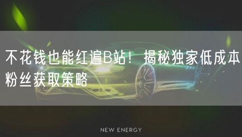 不花钱也能红遍B站！揭秘独家低成本粉丝获取策略