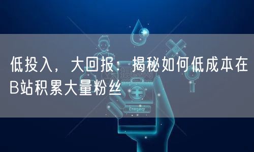 低投入，大回报：揭秘如何低成本在B站积累大量粉丝