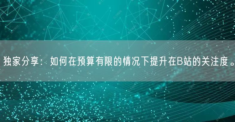 独家分享：如何在预算有限的情况下提升在B站的关注度。
