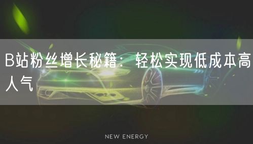 B站粉丝增长秘籍：轻松实现低成本高人气