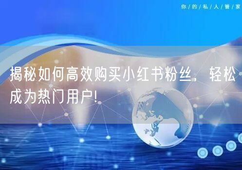 揭秘如何高效购买小红书粉丝，轻松成为热门用户!