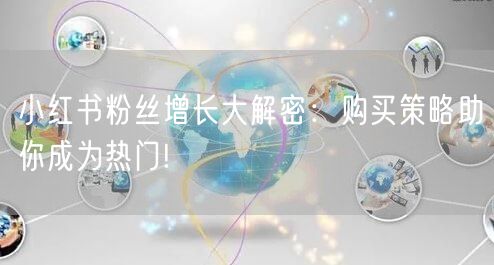 小红书粉丝增长大解密：购买策略助你成为热门!