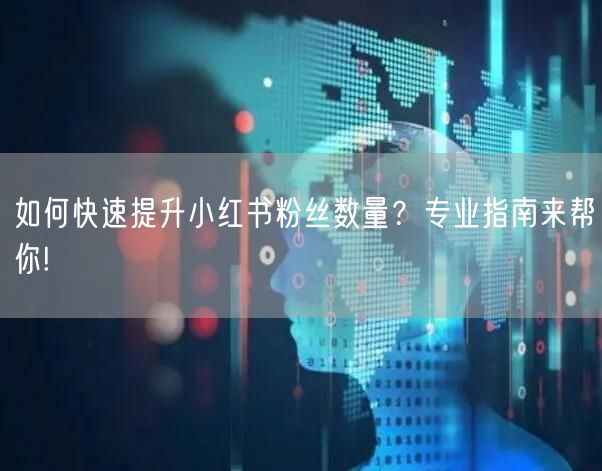 如何快速提升小红书粉丝数量？专业指南来帮你!