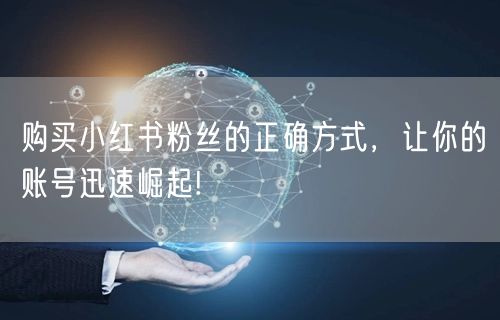 购买小红书粉丝的正确方式，让你的账号迅速崛起!