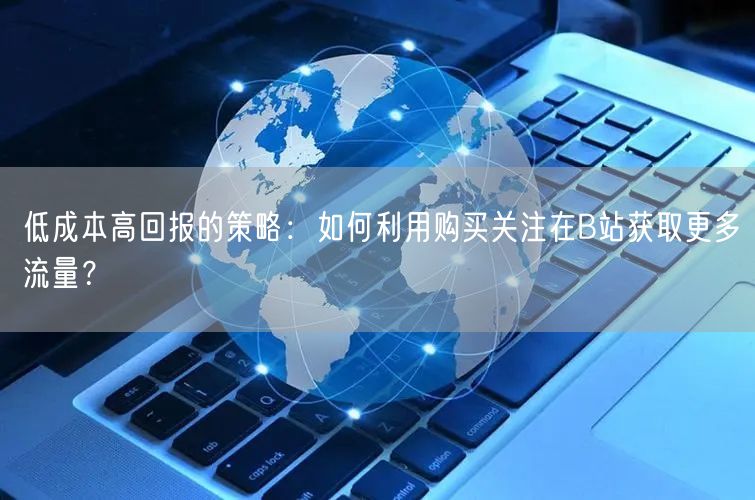 低成本高回报的策略：如何利用购买关注在B站获取更多流量？