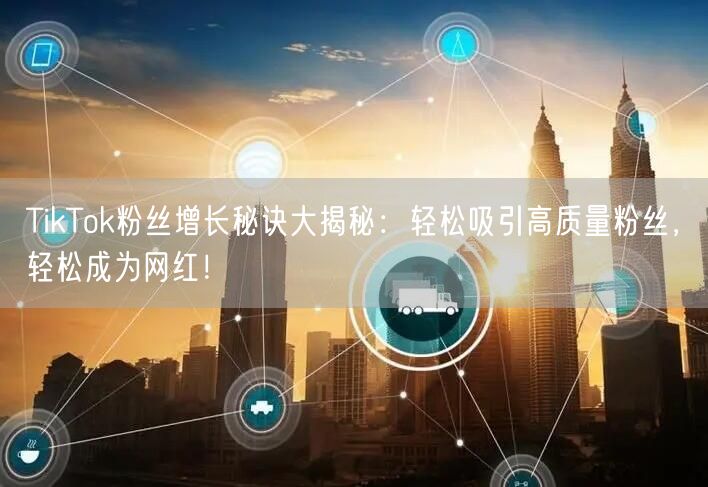 TikTok粉丝增长秘诀大揭秘：轻松吸引高质量粉丝，轻松成为网红！