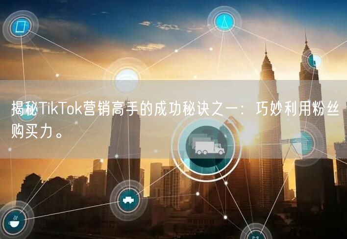 揭秘TikTok营销高手的成功秘诀之一：巧妙利用粉丝购买力。