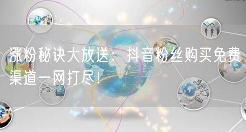 涨粉秘诀大放送：抖音粉丝购买免费渠道一网打尽！