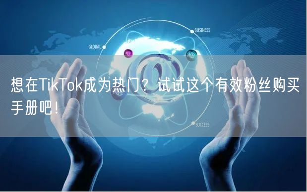 想在TikTok成为热门？试试这个有效粉丝购买手册吧！