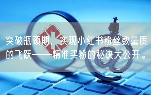 突破瓶颈期，实现小红书粉丝数量质的飞跃——精准买粉的秘诀大公开。