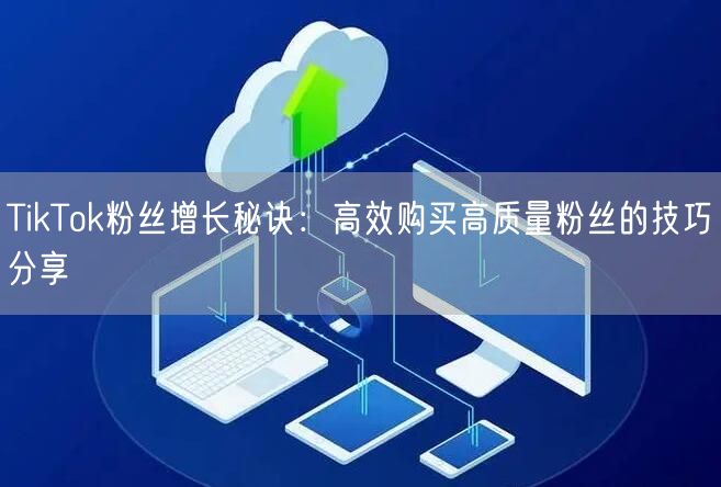 TikTok粉丝增长秘诀：高效购买高质量粉丝的技巧分享