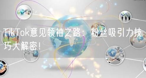 TikTok意见领袖之路：粉丝吸引力技巧大解密！