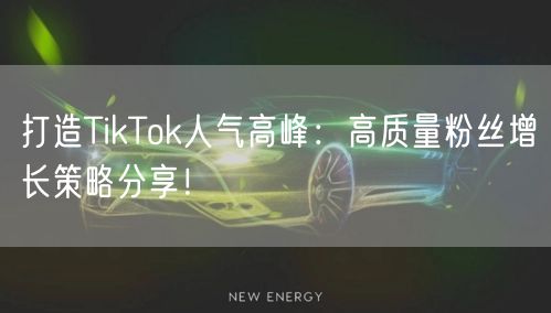 打造TikTok人气高峰：高质量粉丝增长策略分享！
