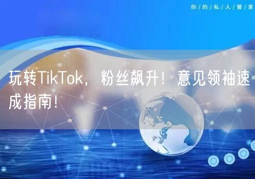 玩转TikTok，粉丝飙升！意见领袖速成指南！