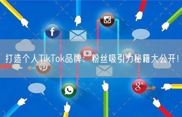 打造个人TikTok品牌：粉丝吸引力秘籍大公开！