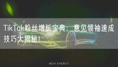 TikTok粉丝增长宝典：意见领袖速成技巧大揭秘！