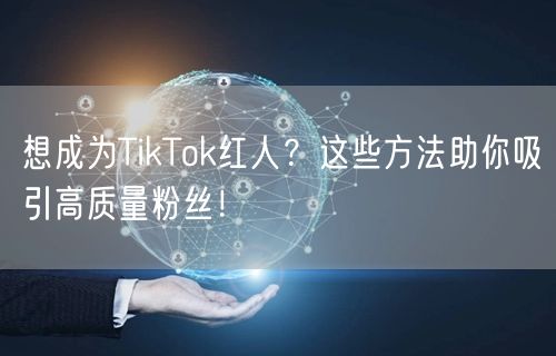 想成为TikTok红人？这些方法助你吸引高质量粉丝！