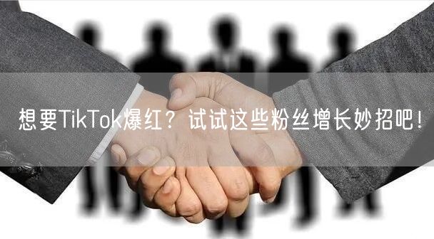 想要TikTok爆红？试试这些粉丝增长妙招吧！