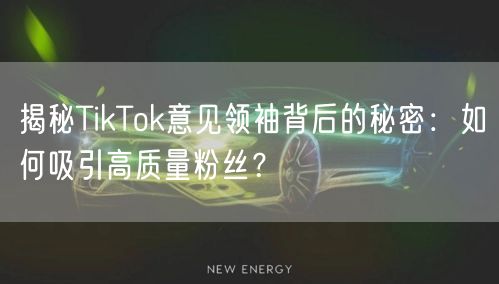 揭秘TikTok意见领袖背后的秘密：如何吸引高质量粉丝？