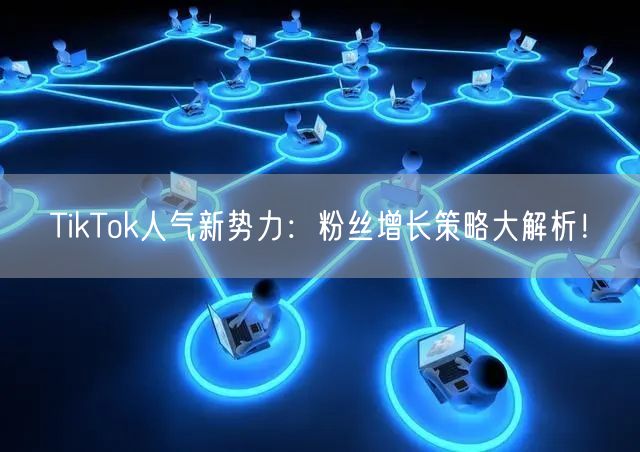 TikTok人气新势力：粉丝增长策略大解析！
