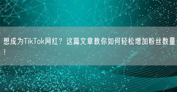 想成为TikTok网红？这篇文章教你如何轻松增加粉丝数量！