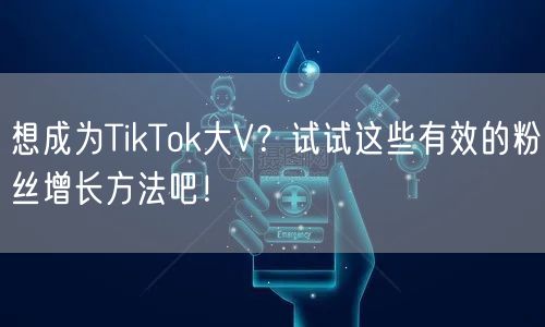 想成为TikTok大V？试试这些有效的粉丝增长方法吧！