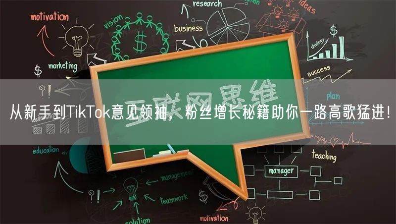 从新手到TikTok意见领袖，粉丝增长秘籍助你一路高歌猛进！