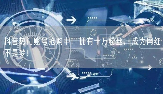 抖音热门账号抢购中！拥有十万粉丝，成为网红不是梦！