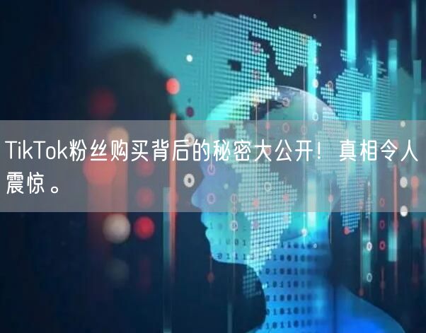 TikTok粉丝购买背后的秘密大公开！真相令人震惊。