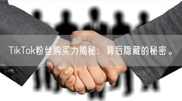 TikTok粉丝购买力揭秘：背后隐藏的秘密。