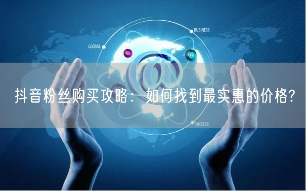 抖音粉丝购买攻略：如何找到最实惠的价格?