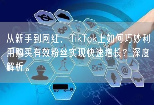 从新手到网红，TikTok上如何巧妙利用购买有效粉丝实现快速增长？深度解析。
